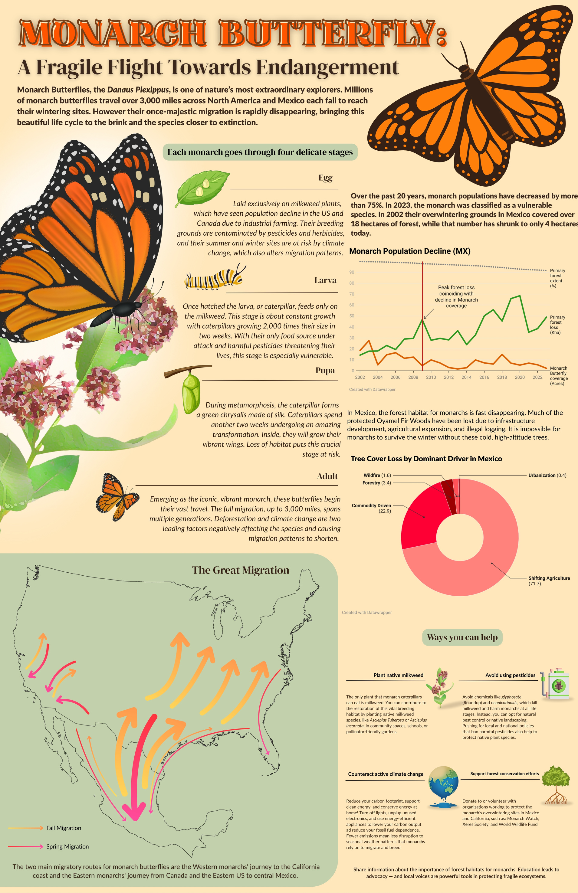 Kayla Buehring Infographic