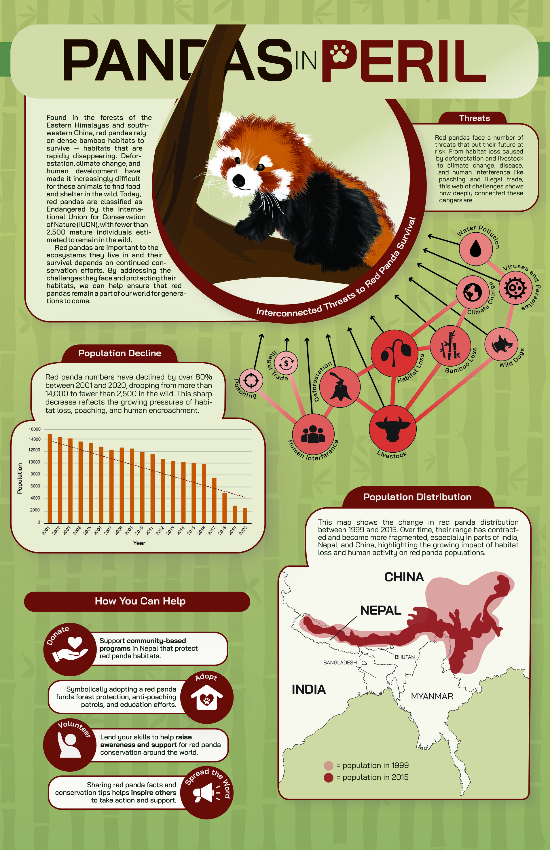Emma Hussin Infographic